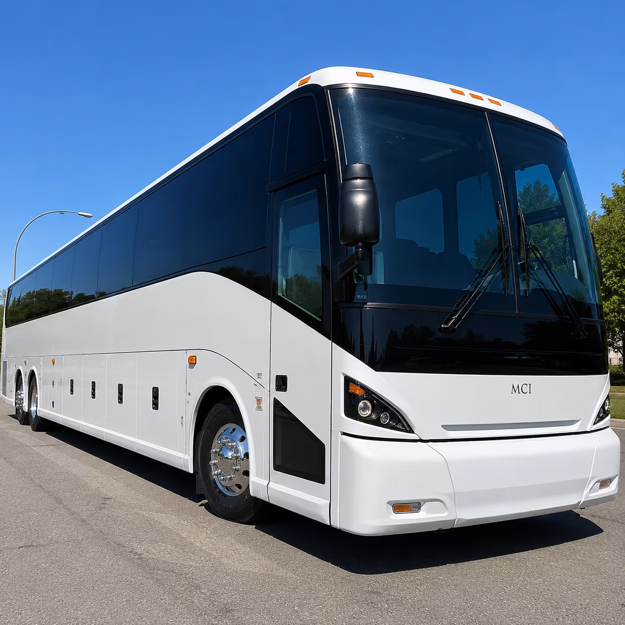 one search for your tampa group trip