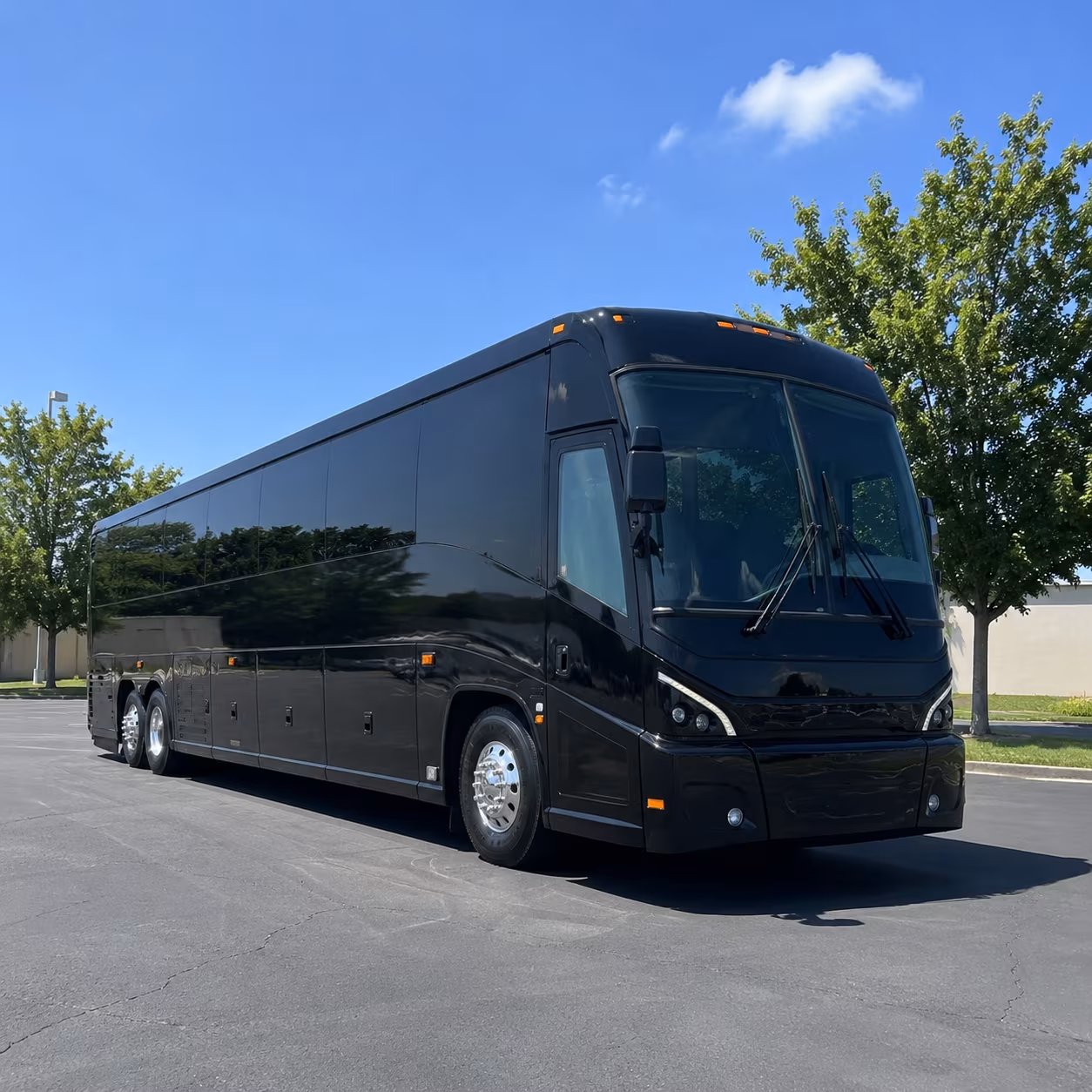 tampa sporting event transportation onboard seating