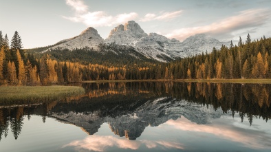 oscar scherer state park